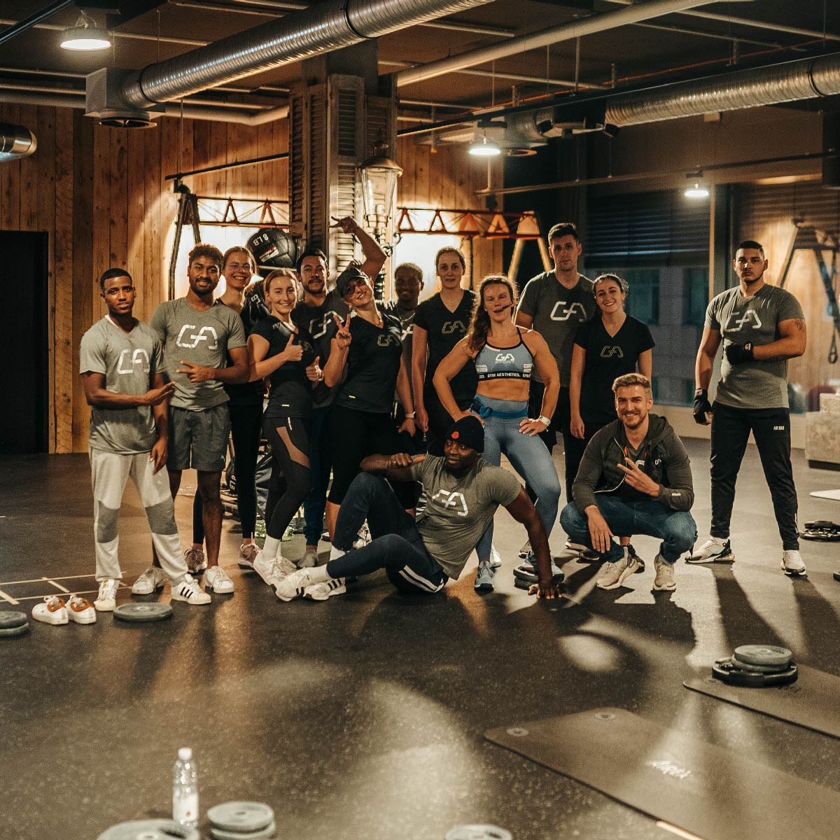 Image of Mission of Gym Aesthetics