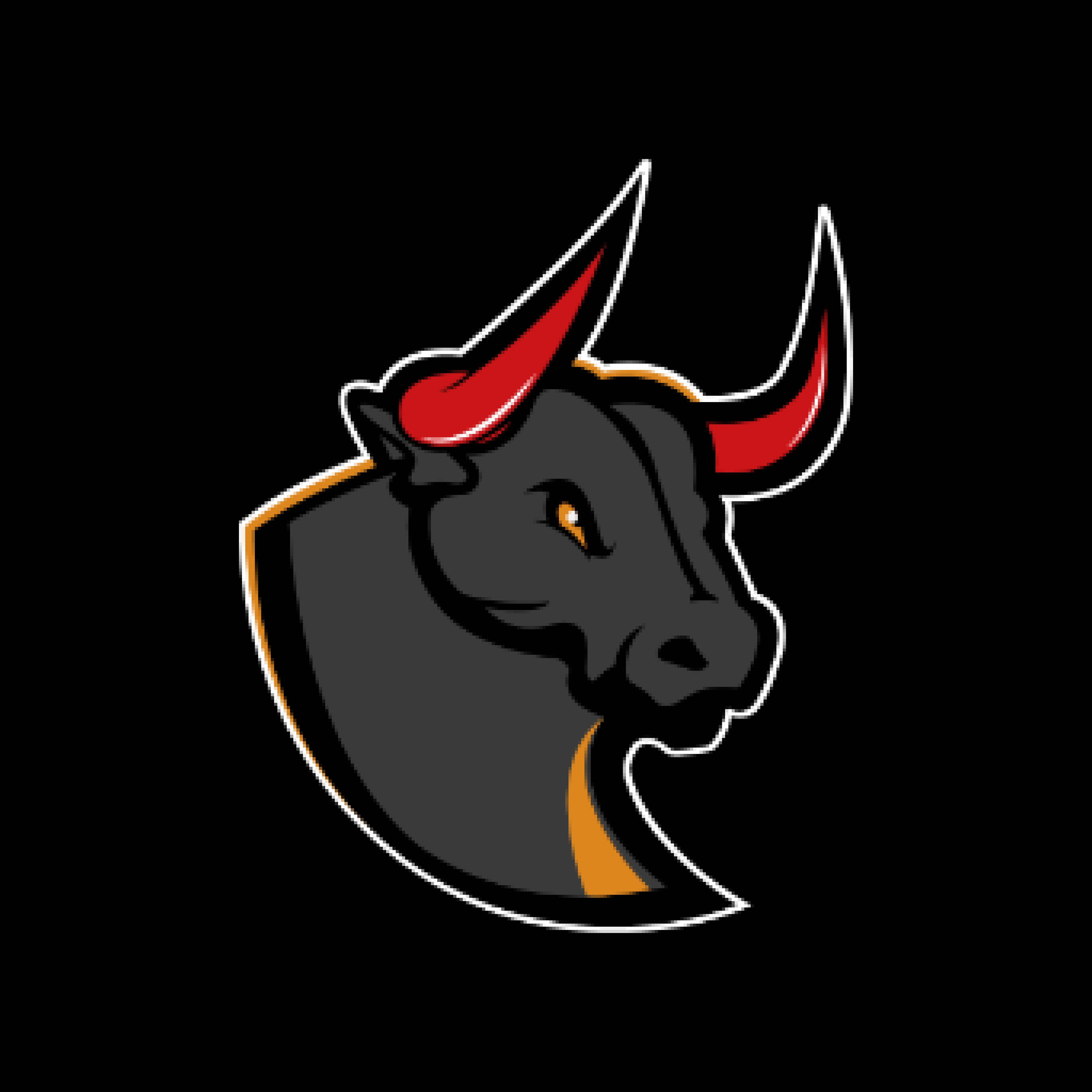 Image of Madrid Bravos: The Spanish Conquistadors of European League of Football